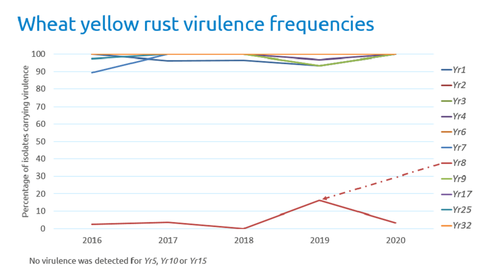 Chart showing wheat yellow rust virulence frequencies (2016-20)